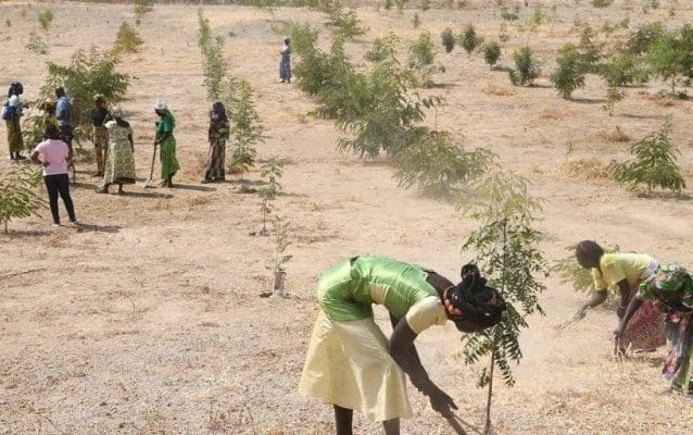 El Niño Coin Toss; Africans Don’t Care About The Climate; Comet PanSTARRS; + Flatlining Sun